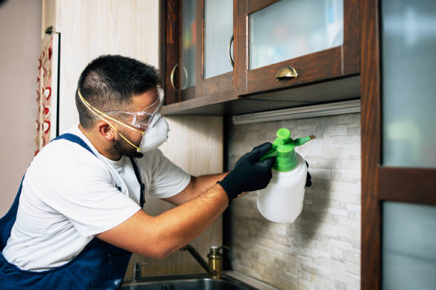 Best Bed Bug Extermination  in Gordonsville, VA