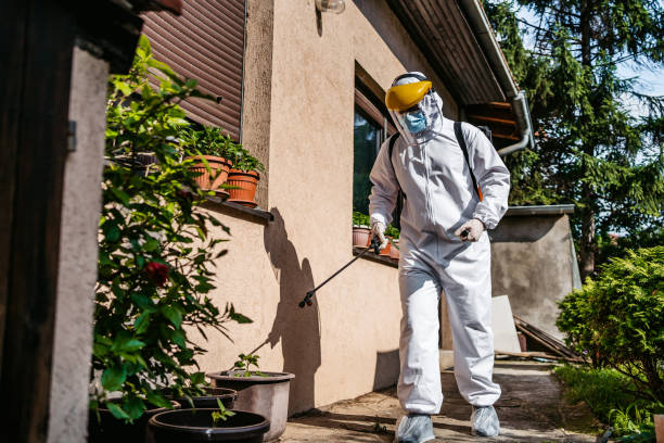 Trusted Gordonsville, VA Pest Control Experts