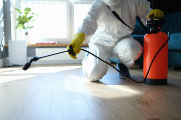 Flea Control Services in Gordonsville, VA