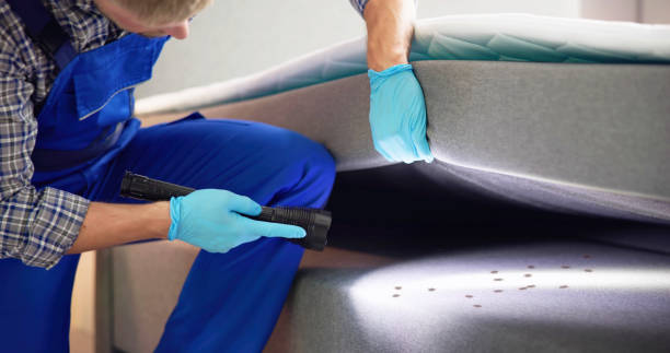 Best Insect Control  in Gordonsville, VA