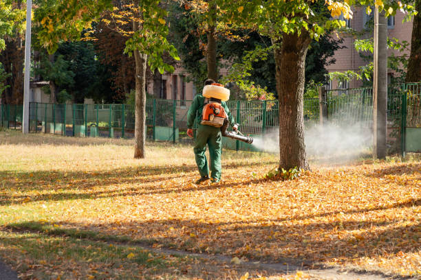 Best Residential Pest Control  in Gordonsville, VA